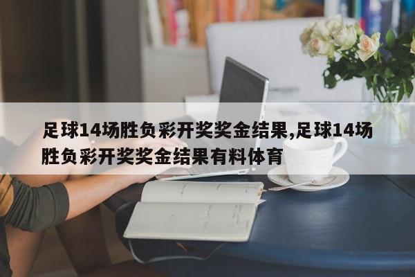 足球14场胜负彩开奖奖金结果,足球14场胜负彩开奖奖金结果有料体育
